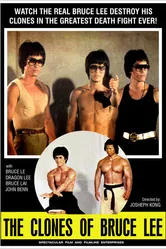 Клоны Брюса Ли 1980 постер