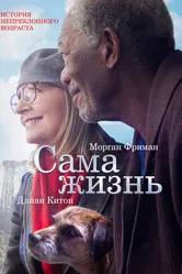 Сама жизнь 2014 постер