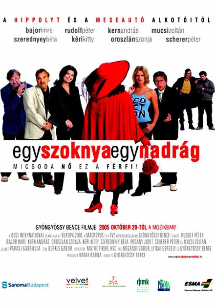 Постер Одна юбка, одни брюки 2005