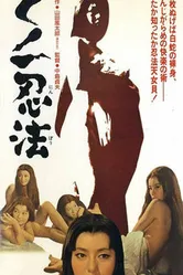 Kunoichi ninpo постер