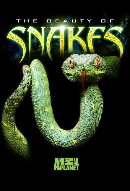 Постер Beauty of Snakes