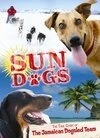 Постер Sun Dogs