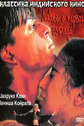 Любовь с первого взгляда 1998 постер