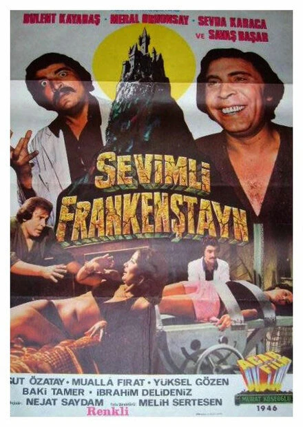 Постер Sevimli Frankenstayn