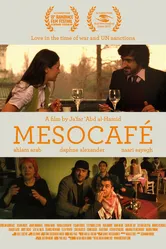Мезокафе 2011 постер