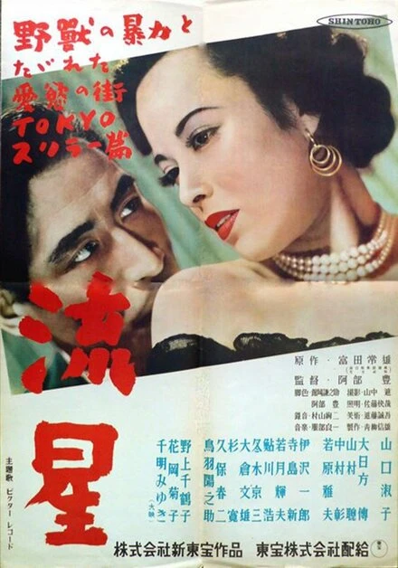 Постер Метеорит 1949