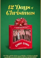 Двенадцать дней Рождества 2020 постер