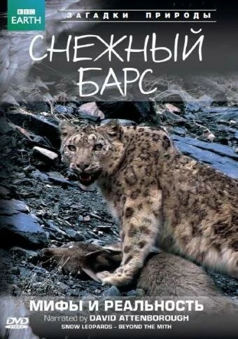 Постер BBC: Снежный барс: Мифы и реальности 2007