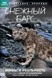 BBC: Снежный барс: Мифы и реальности 2007 постер