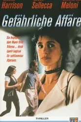 Опасная связь 1995 постер