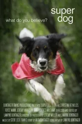 Super Dog постер