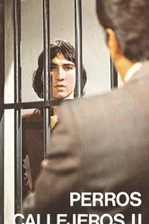 Уличные собаки 2 1979 постер
