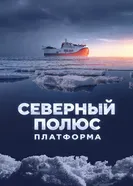Северный полюс. Платформа постер
