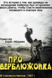 Про верблюжонка 1987 постер