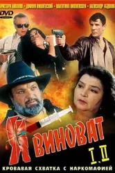 Я виноват 1993 постер