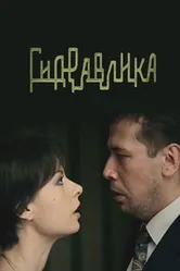 Гидравлика 2010 постер
