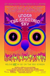 EDC 2013: Under the Electric Sky постер