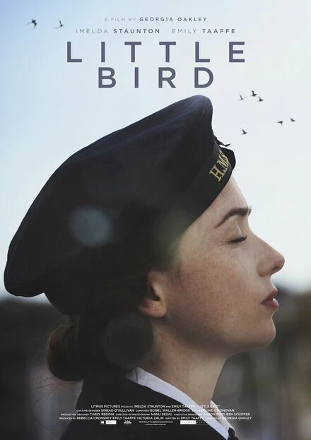 Постер Little Bird 2017