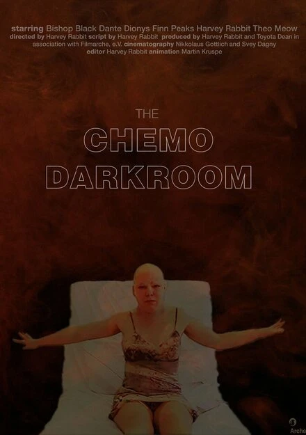 Постер The Chemo Darkroom
