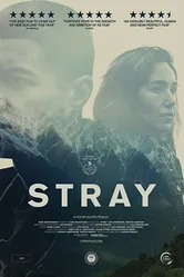 Заблудшие 2018 постер