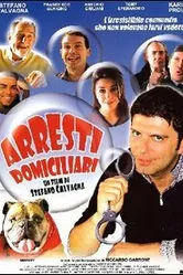 Домашние аресты 2000 постер