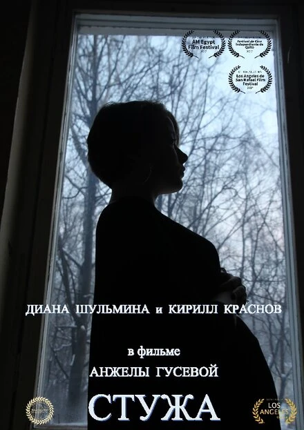 Постер Стужа 2017