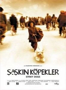 Постер Бродячие собаки 2004