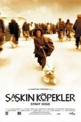 Бродячие собаки 2004 постер