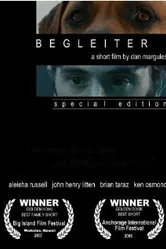 Begleiter постер