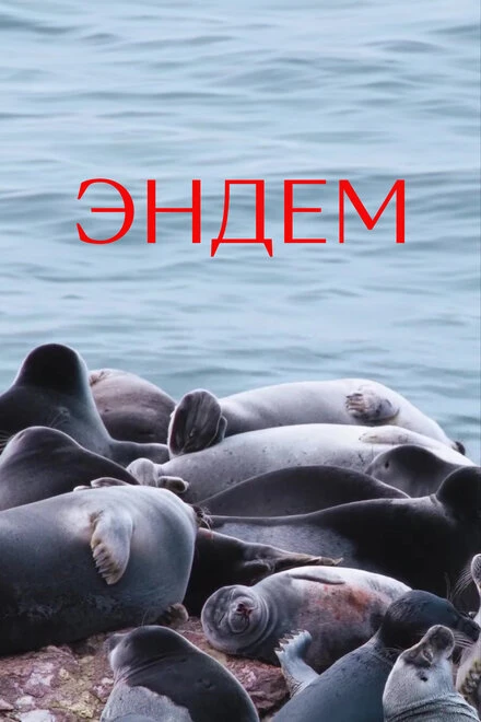 Постер Эндем 2021