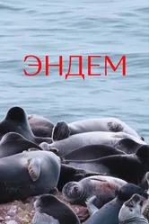 Эндем 2021 постер