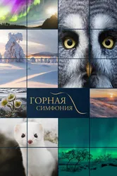 Горная симфония 2021 постер