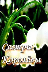 Сестры Королевы 2010 постер