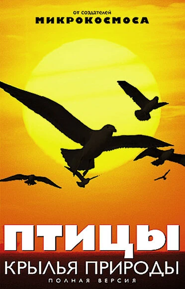 Постер Птицы: Крылья природы 2002