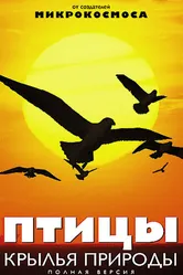 Птицы: Крылья природы 2002 постер