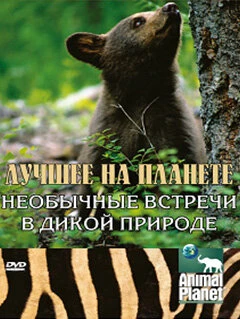 Постер Animal Planet: Лучшее на планете 2003