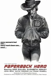Paperback Hero постер