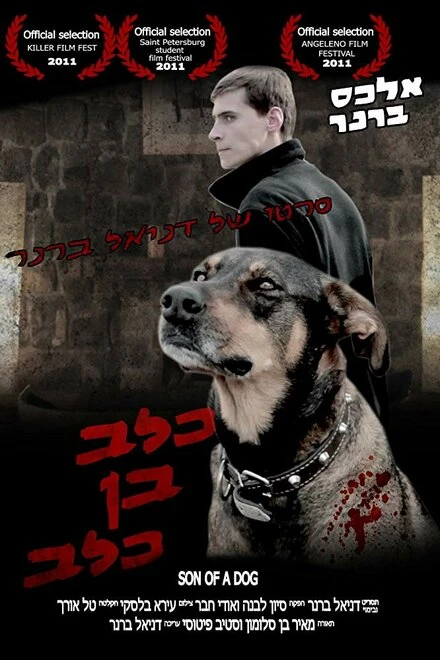 Постер Son of a Dog