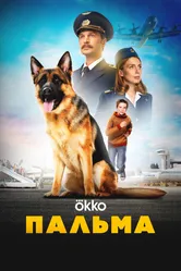 Пальма 2020 постер
