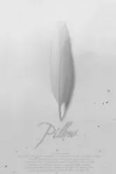 Pillow 2010 постер