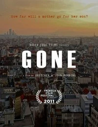 Постер Пропавший: Исчезновение Аэрина Гиллерна 2011