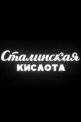 Сталинская кислота 2016 постер