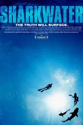 Акулы 2006 постер