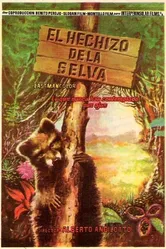 L'incanto della foresta постер