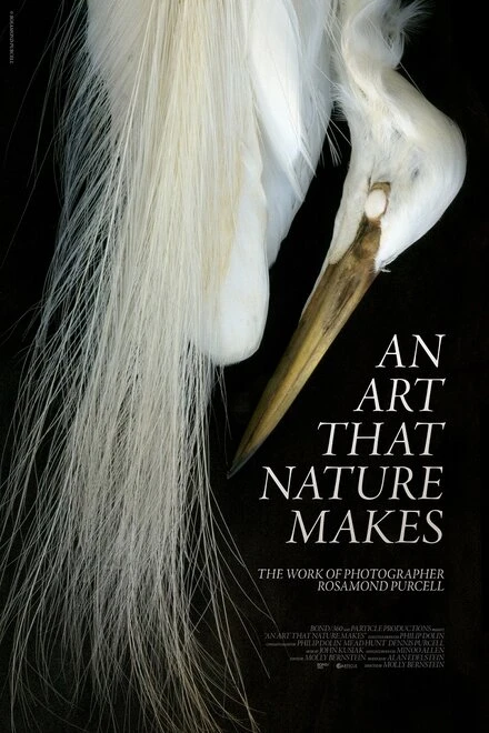 Постер An Art That Nature Makes: The Work of Rosamond Purcell