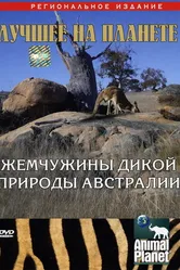 Animal Planet: Жемчужины дикой природы Австралии 2007 постер