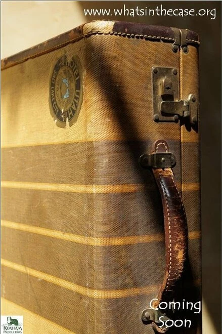 Постер Antique Case