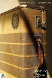 Antique Case постер