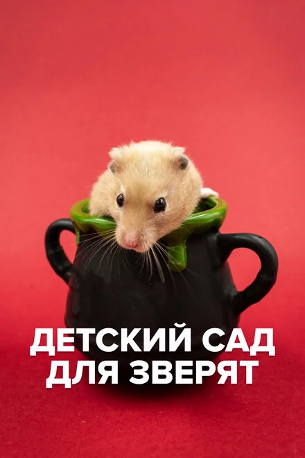 Постер Детский сад для зверят 2021