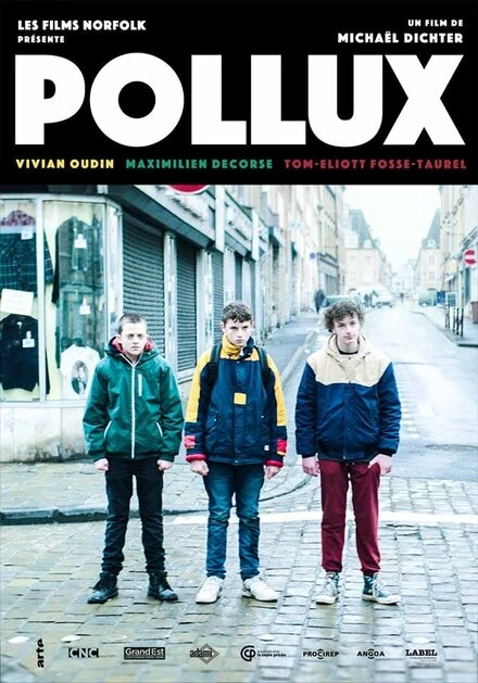Постер Pollux